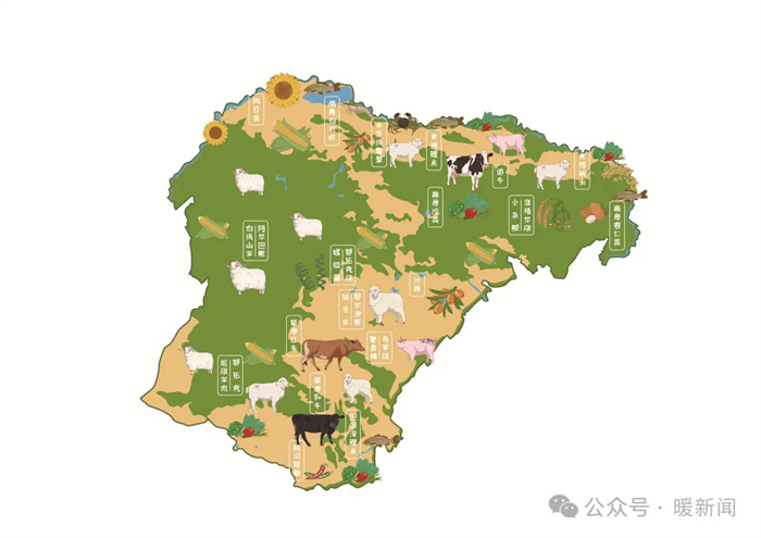 1725612568108160.jpg 3.jpg