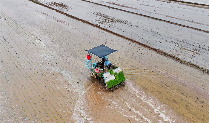 1748589090632352.jpg 111.jpg