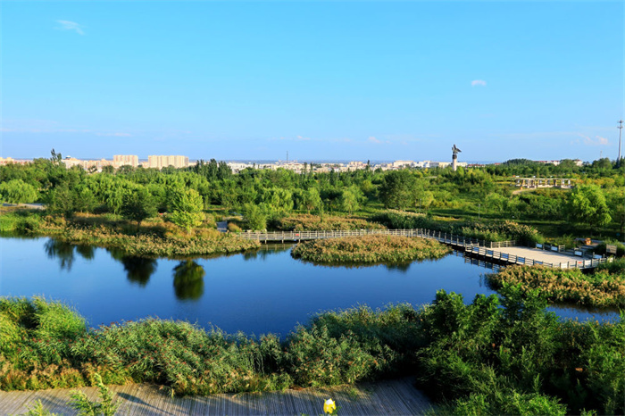 1749108501337799.jpg 3.jpg