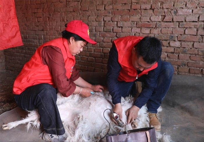 1750302680417666.jpg 1.jpg