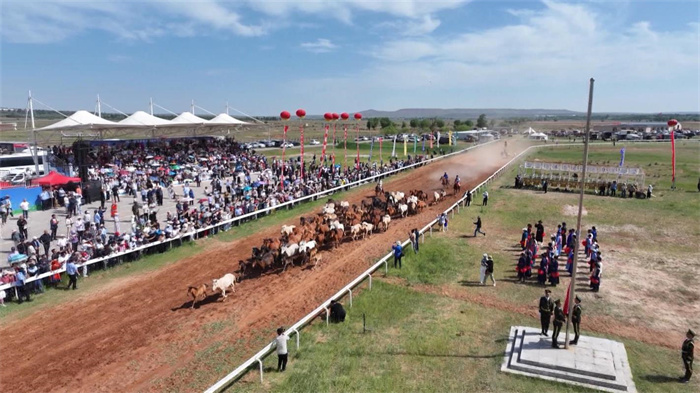 1753173901234609.jpg 22.jpg